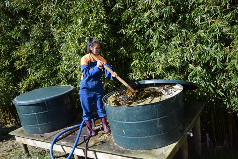black-haired girl stirring vat of seaweed