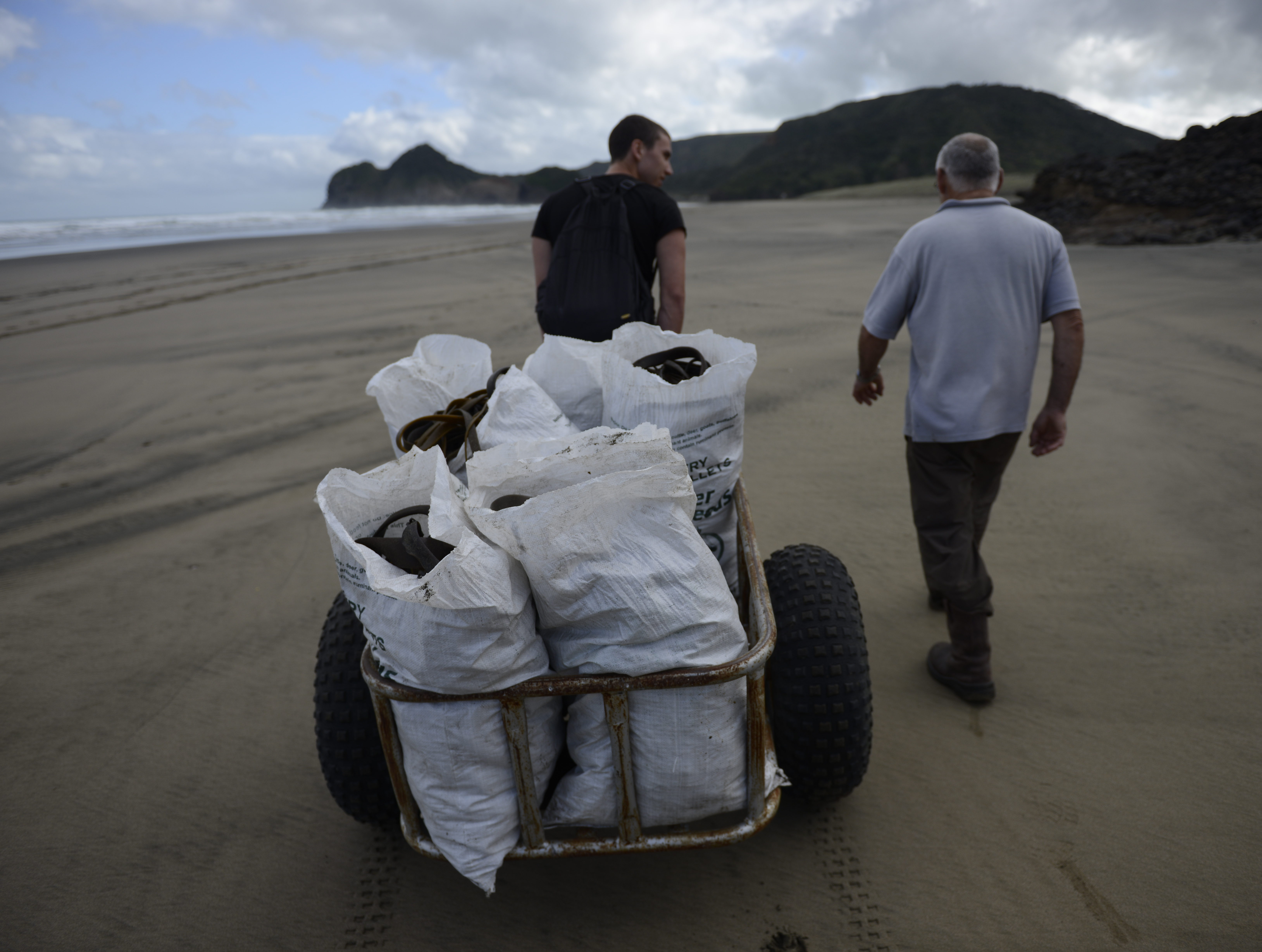 Bethells Beach