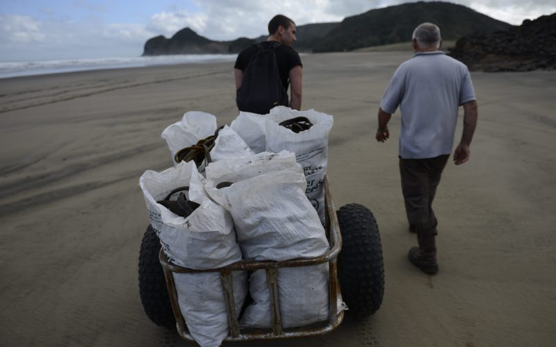 Bethells Beach